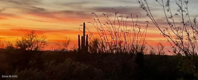 7736 W Copper Nugget, Tucson, AZ 85735 - #3