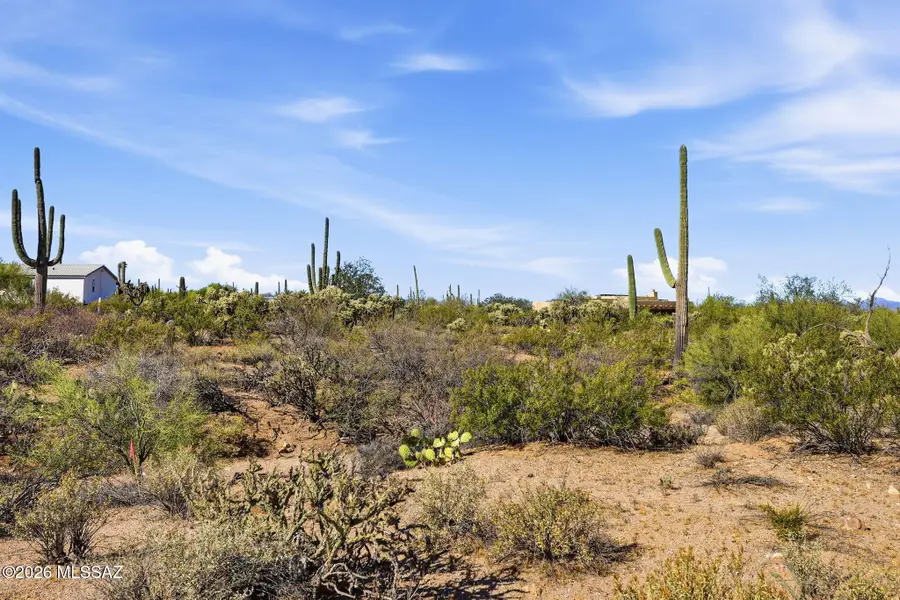 6110 N Placita Sayal, Tucson, AZ 85743 - #3