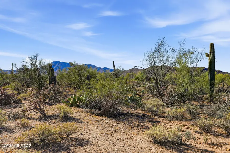 6094 N Placita Sayal, Tucson, AZ 85743 - #3