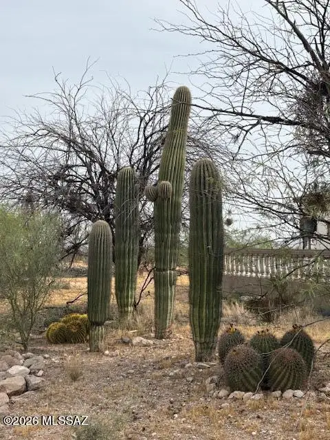 11380 W Valencia, Tucson, AZ 85735 - #1