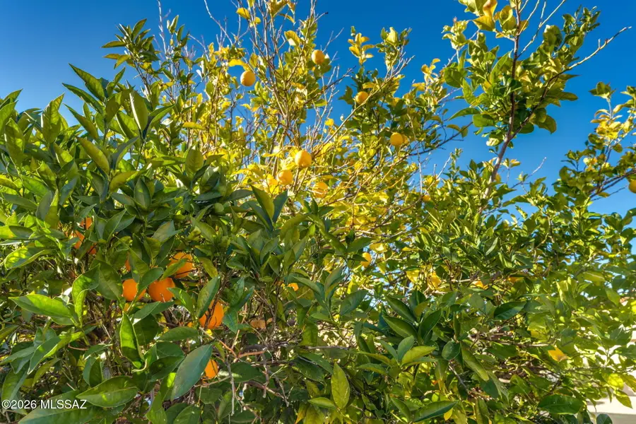 679 W Sunlight, Tucson, AZ 85704 - #3