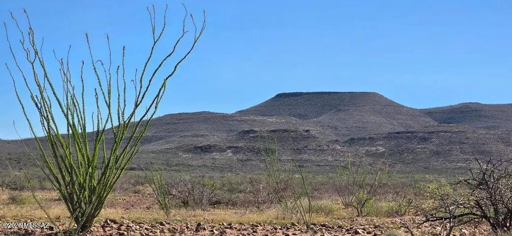 2952 E Jones, Tombstone, AZ 85638 - #1