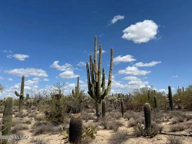 5020 W Lambert, Tucson, AZ 85742 - #1