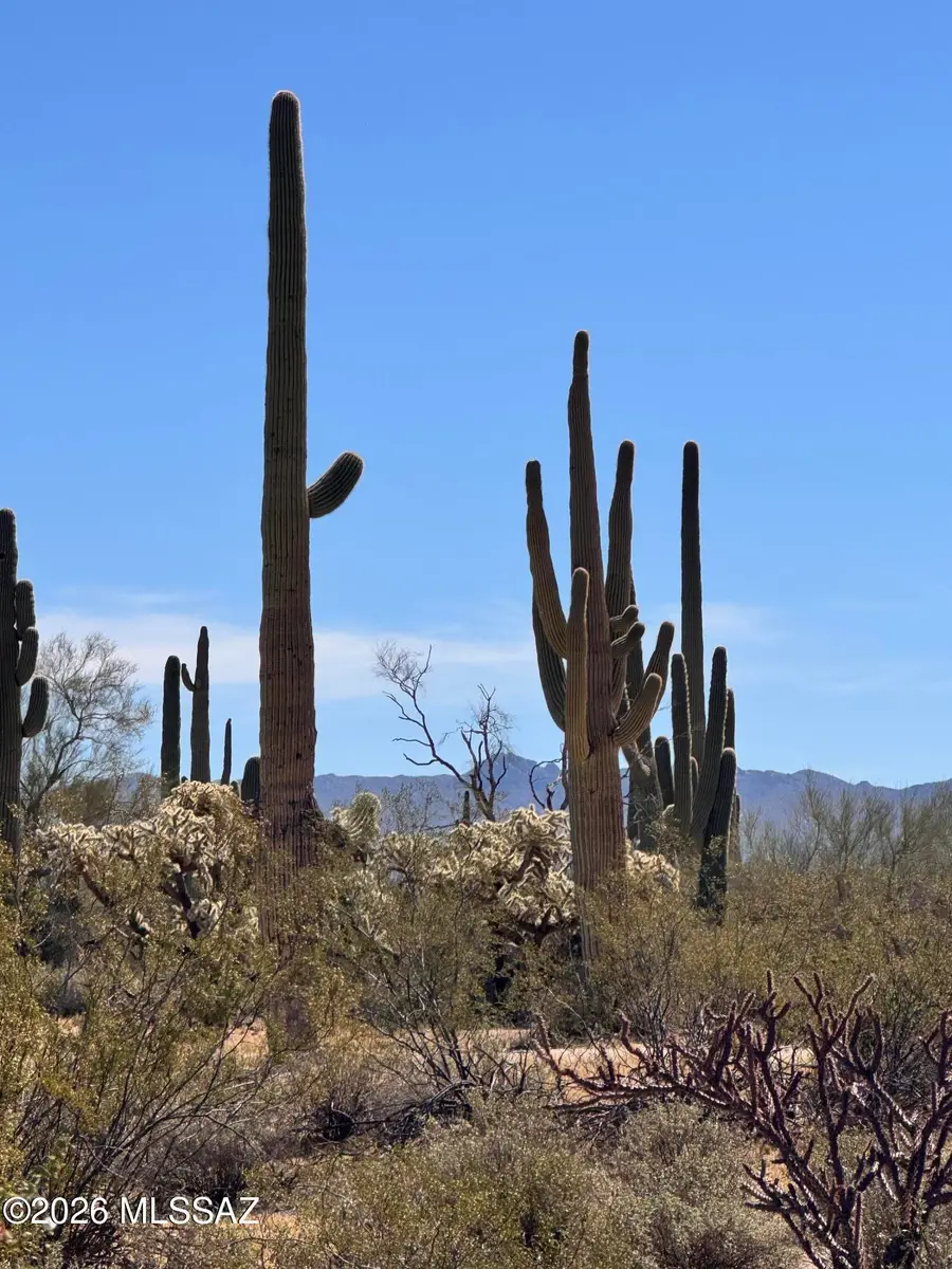 0 S Cattle Tank, Marana, AZ 85658 - #2
