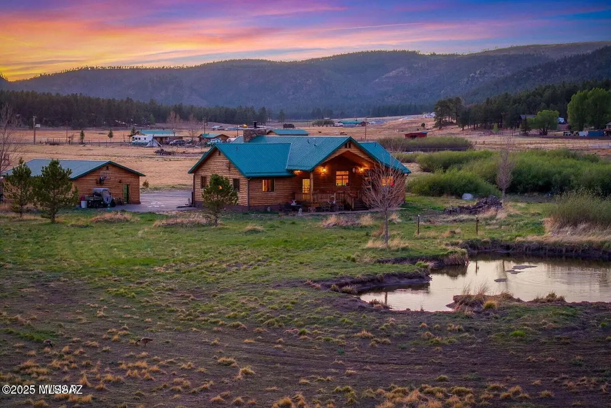 216 County Road 2311, Alpine, AZ 85920 - #1