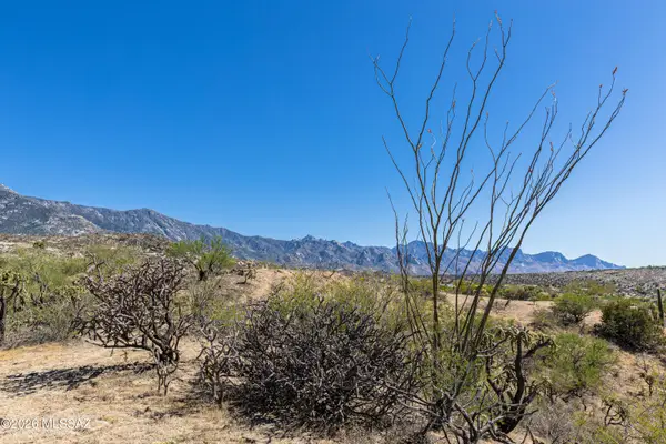 0 E Calle Jacobo, Saddlebrooke, AZ 85739