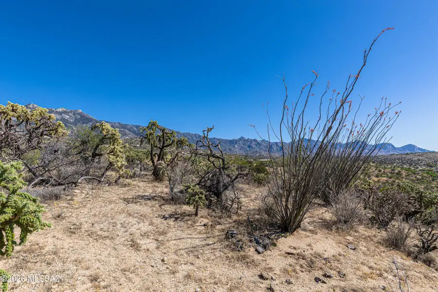 00 E Calle Jacobo, Saddlebrooke, AZ 85739 - #2