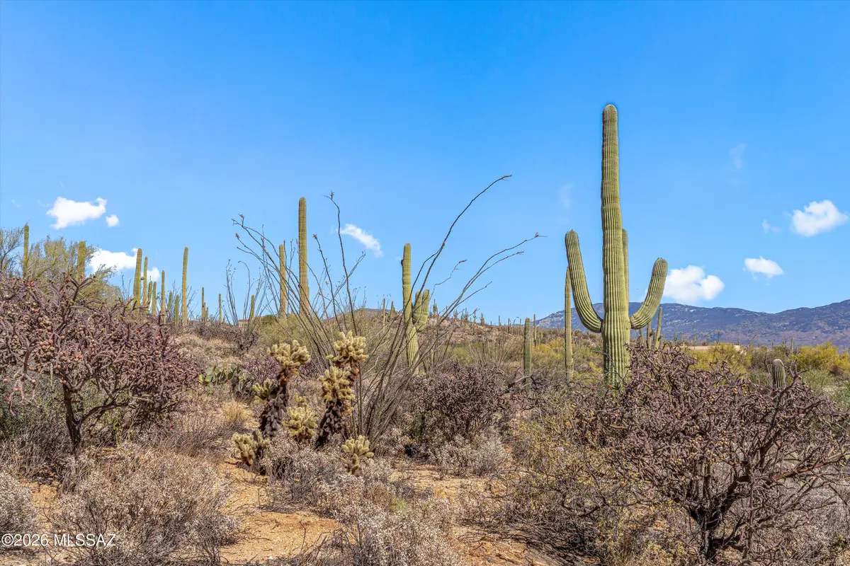 5400 N Avenida De La Colina, Tucson, AZ 85749 - #1