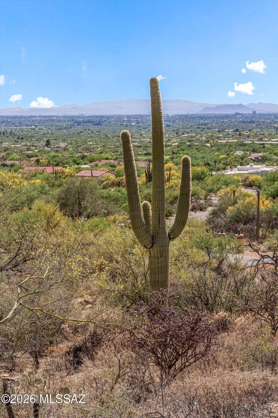 5400 N Avenida De La Colina, Tucson, AZ 85749 - #3