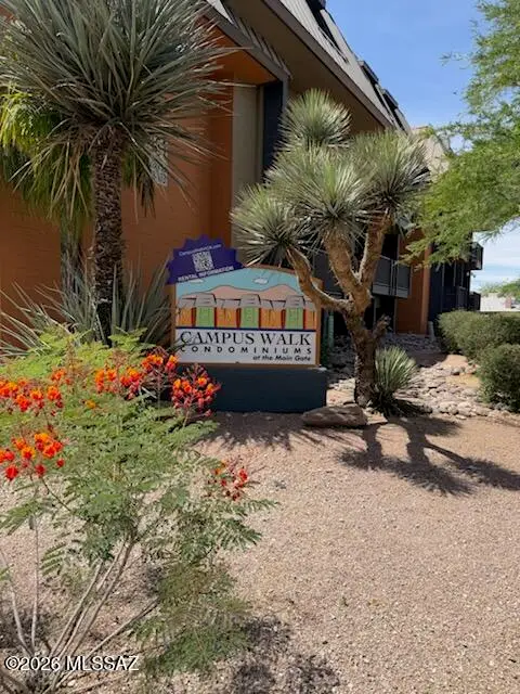 921 N Euclid, Tucson, AZ 85719