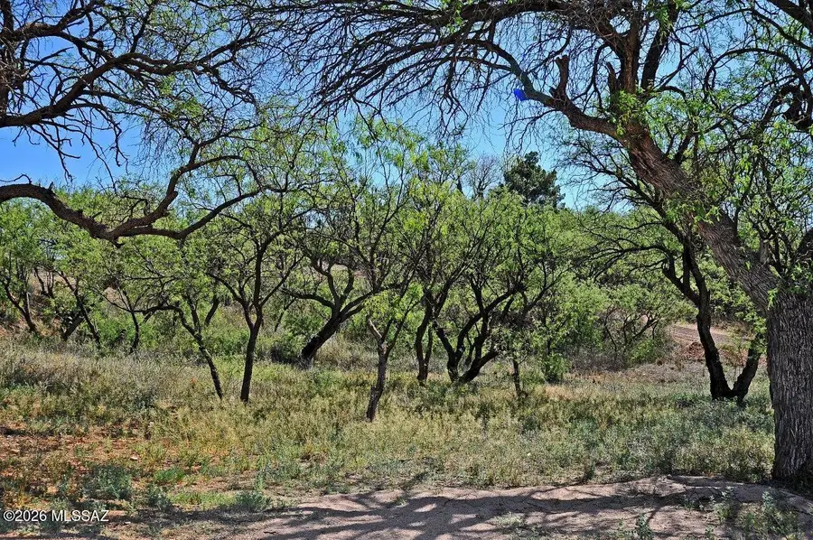 North, Patagonia, AZ 85624 - #2