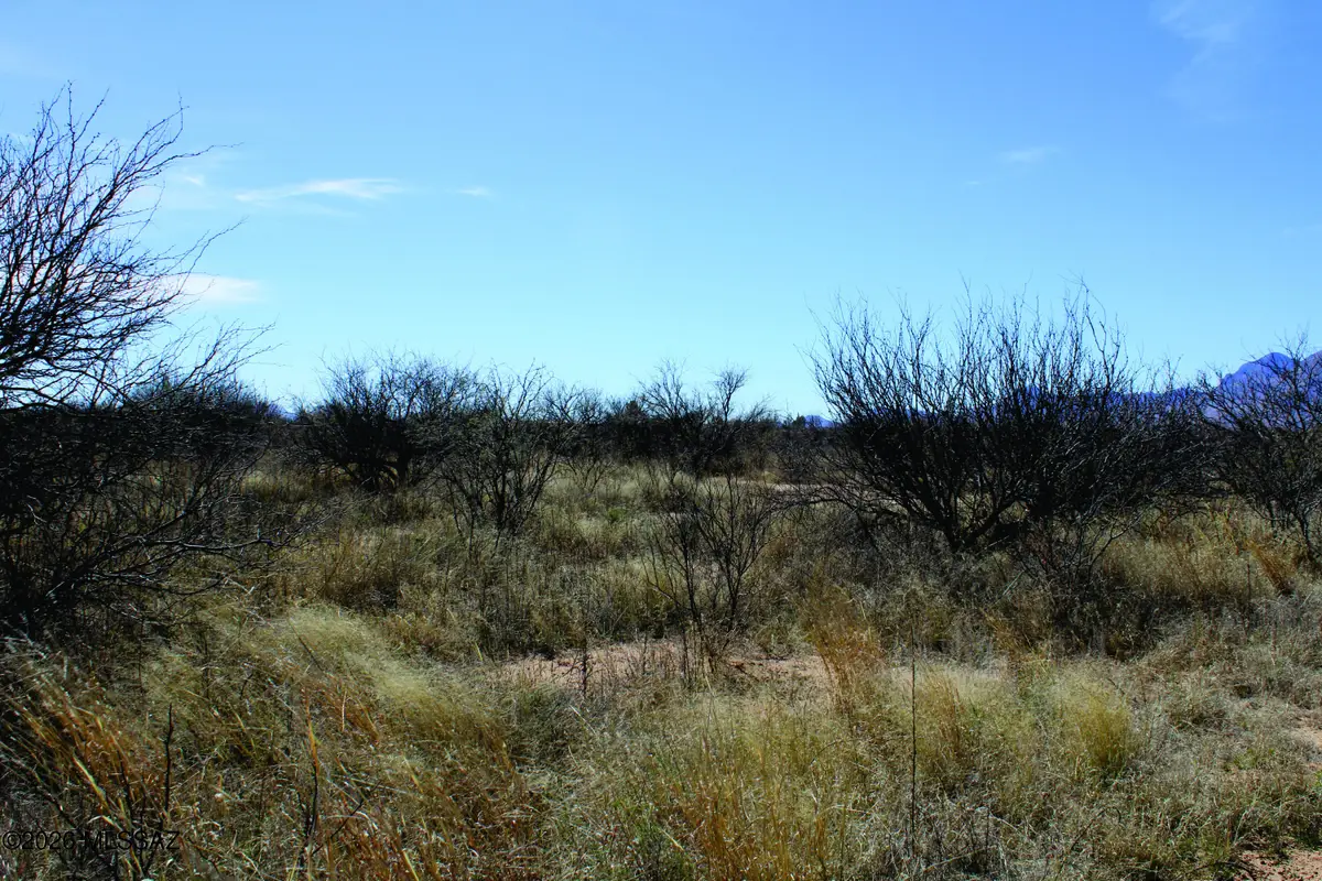 5.52 Acres E Chaco, Hereford, AZ 85615 - #1