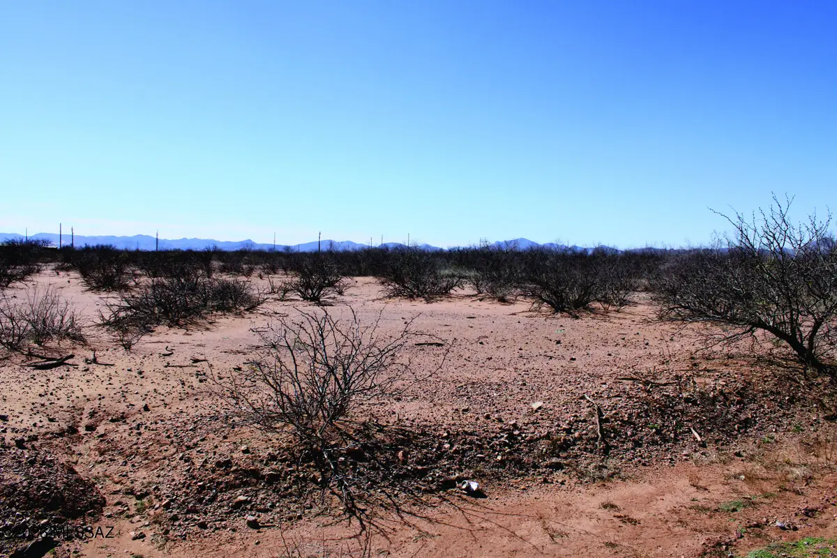 .22 Acre N Mesa, Douglas, AZ 85607 - #1
