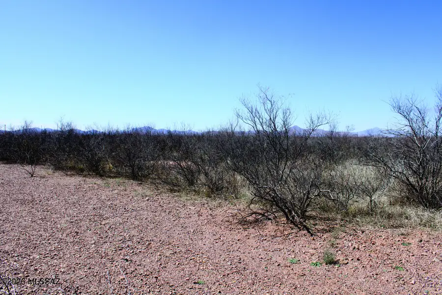 .22 Acre N Mesa, Douglas, AZ 85607 - #3