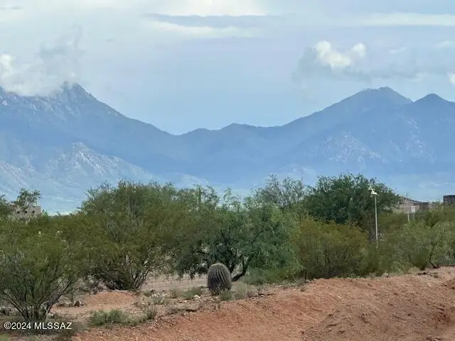 195 N Palomino Run, Sahuarita, AZ 85629 - #3