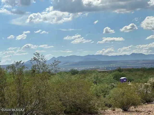 194 N Palomino Run, Sahuarita, AZ 85629 - #3