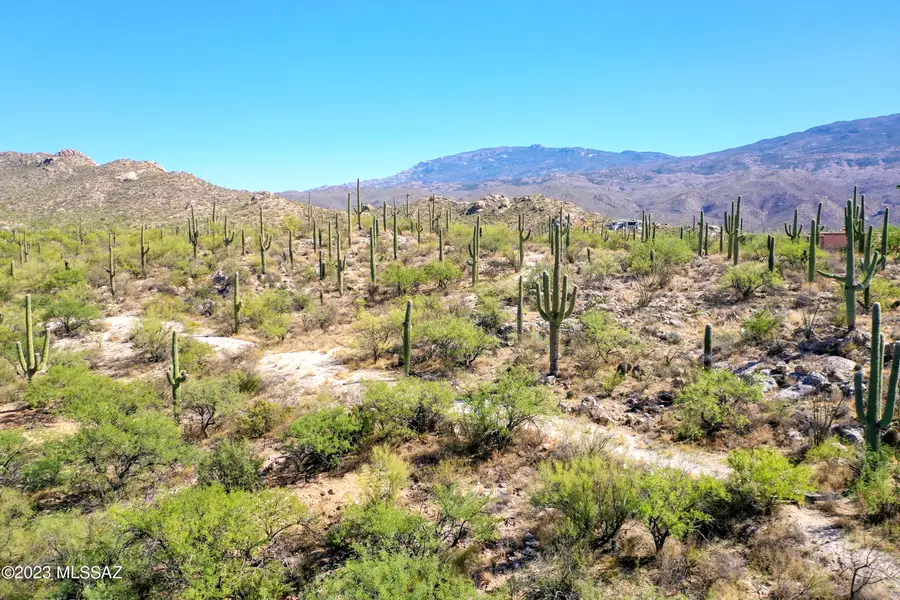 2510 N Avenida Sorgo, Tucson, AZ 85749 - #3
