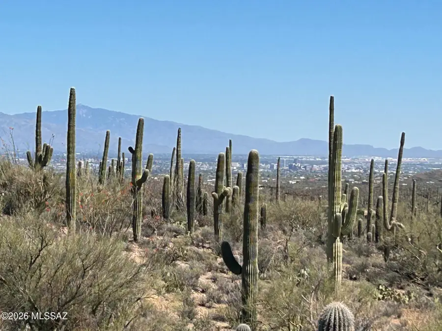 TBD W Wasson Vista, Tucson, AZ 85745 - #2