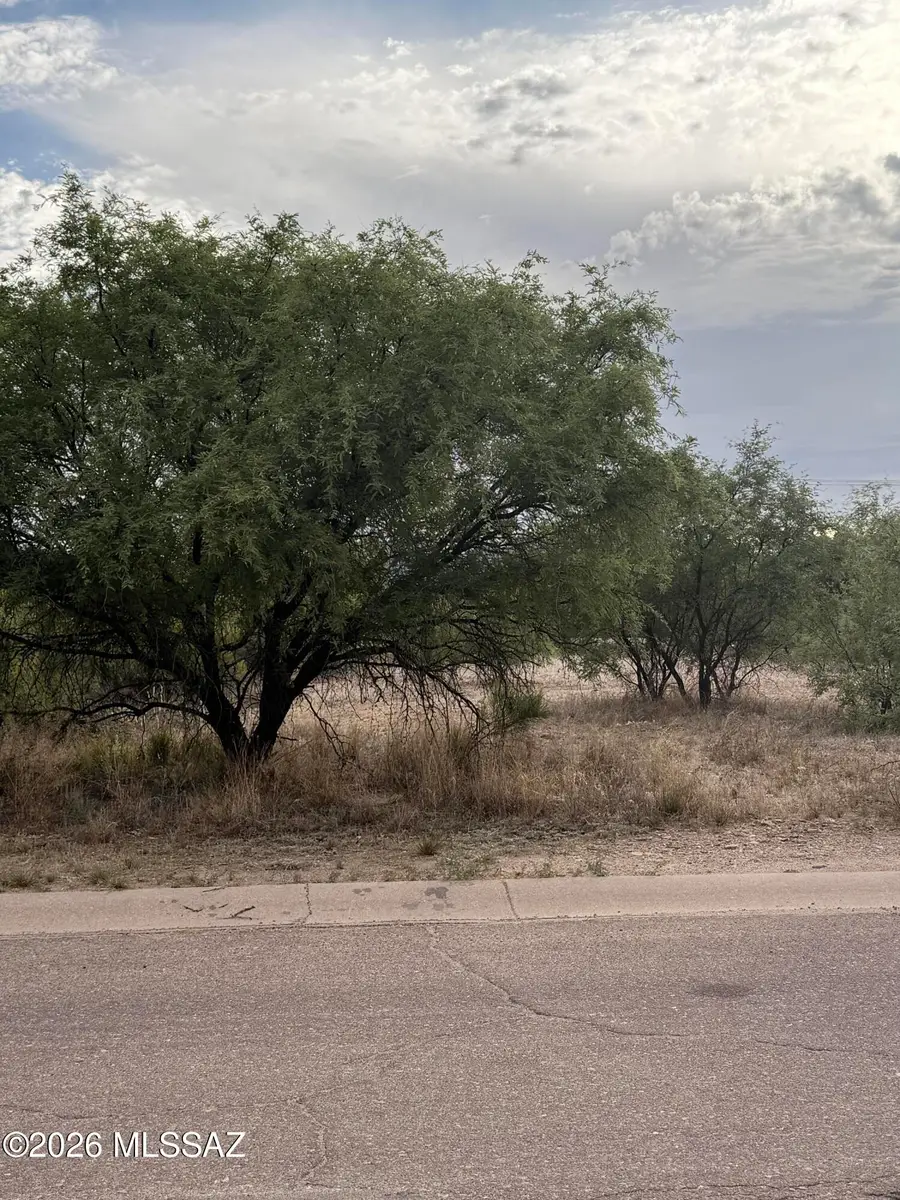1180 Circulo Mercado, Rio Rico, AZ 85648 - #3