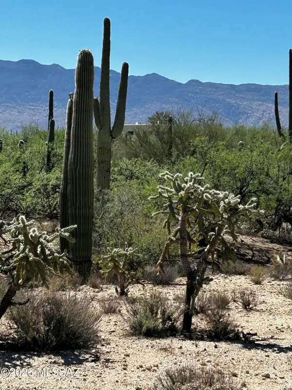 E Roger, Tucson, AZ 85749