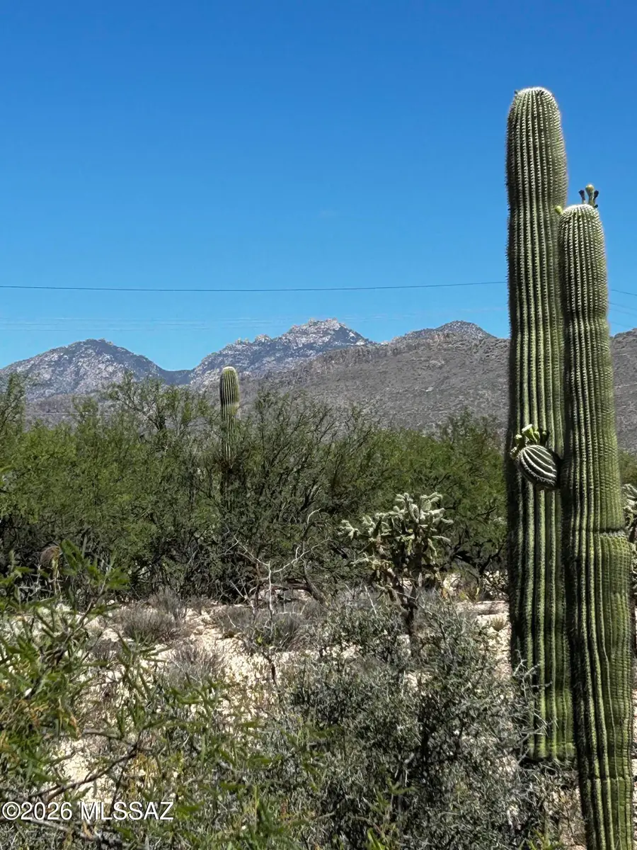 E Roger, Tucson, AZ 85749 - #2