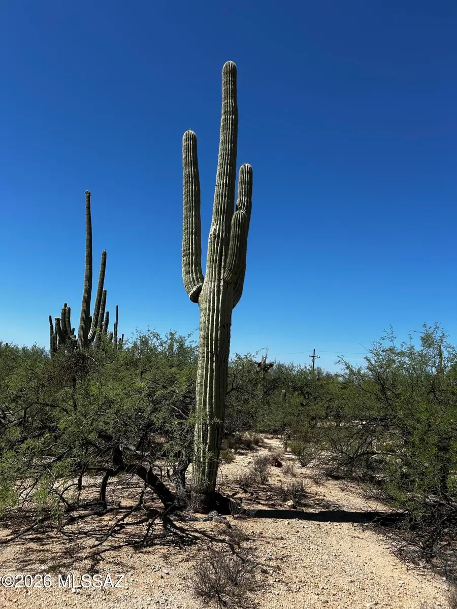 E Roger, Tucson, AZ 85749 - #3
