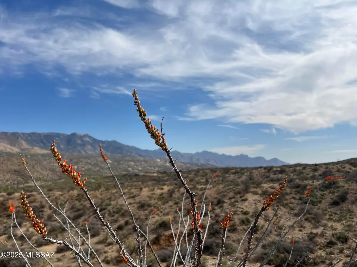 12 acres S Golder Dam, Saddlebrooke, AZ 85739 - #1