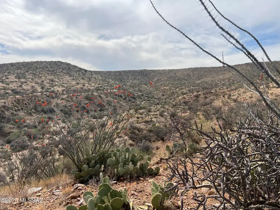 12 acres S Golder Dam, Saddlebrooke, AZ 85739 - #2