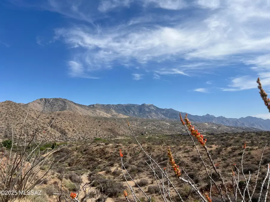 12 acres S Golder Dam, Saddlebrooke, AZ 85739 - #3