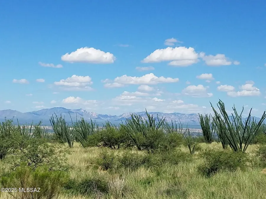 S Canyon Overlook, Benson, AZ 85602 - #3