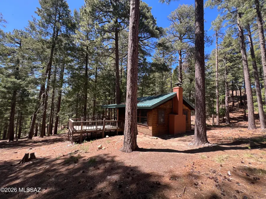 11914 Soldiers Camp, Mount Lemmon, AZ 85619 - #2