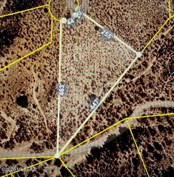 1101 Tizimin, Rio Rico, AZ 85648