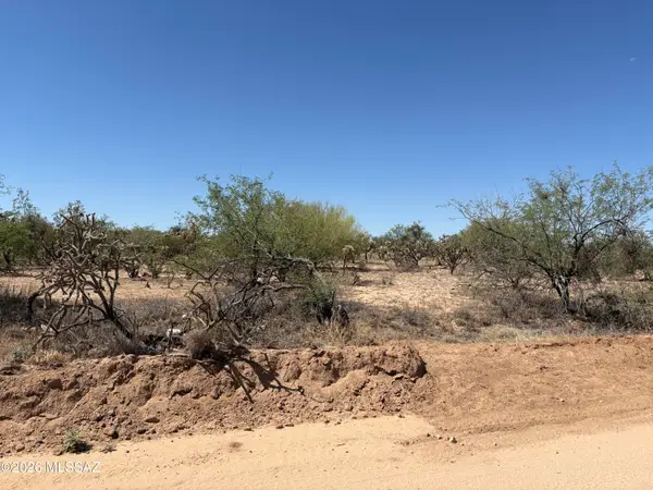 15701 W Guy, Tucson, AZ 85736