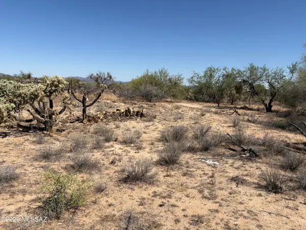15670 W Many Horses, Tucson, AZ 85736