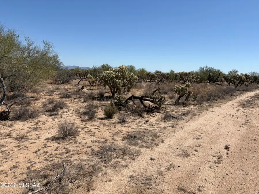 15670 W Many Horses, Tucson, AZ 85736 - #3