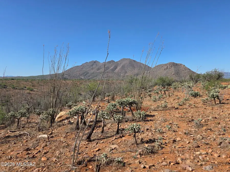1937 Camino Carina, Tubac, AZ 85646 - #2
