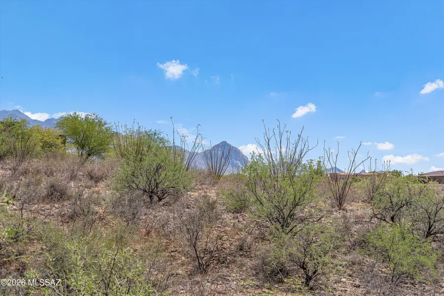 640 E Canyon Rock, Green Valley, AZ 85614 - #3