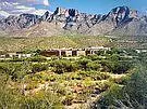 Address Withheld By Seller, Tucson, AZ 85737 - #2