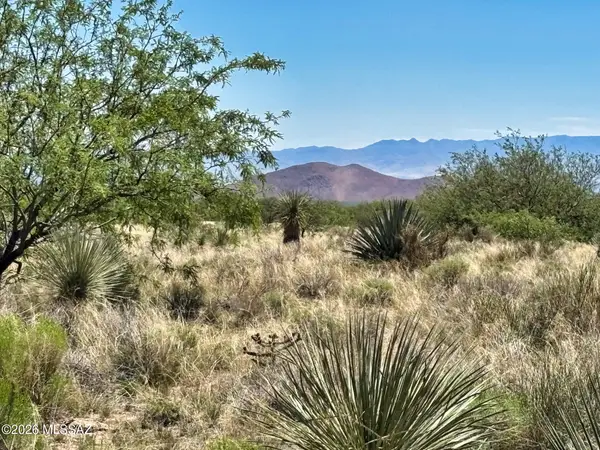 2 lots W Zinnia, Pearce, AZ 85625