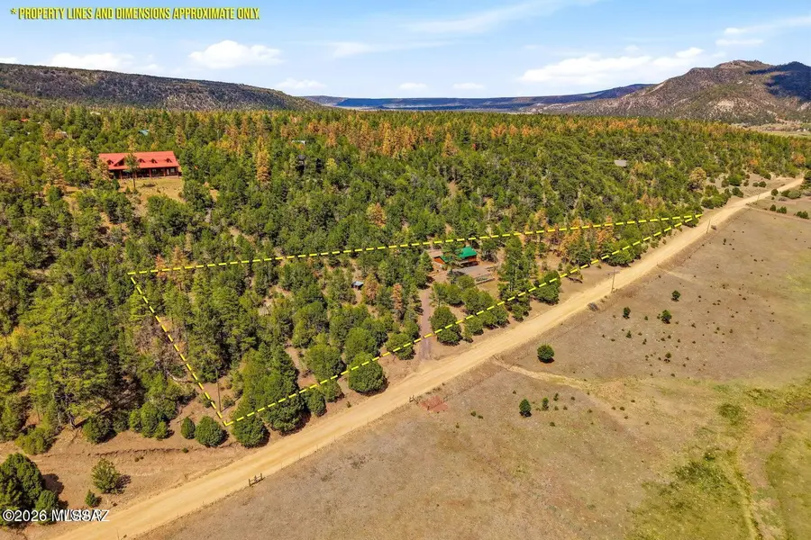 169 County Road 2108, Nutrioso, AZ 85932 - #3