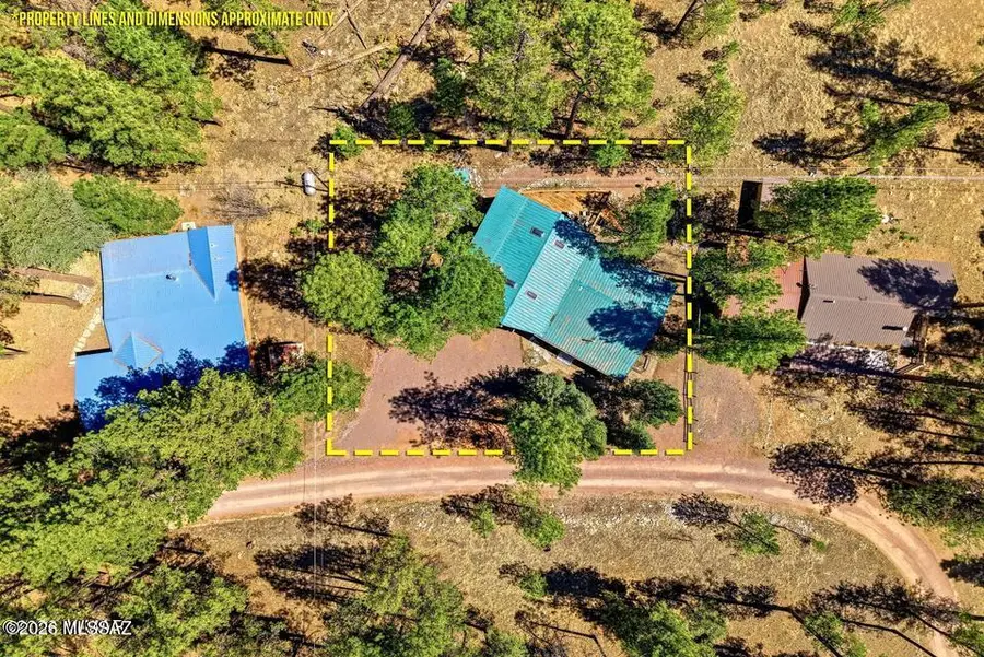 18 County Road 2124, Alpine, AZ 85920 - #2