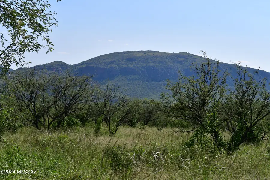 000 Bond Canyon, Tubac, AZ 85646 - #2