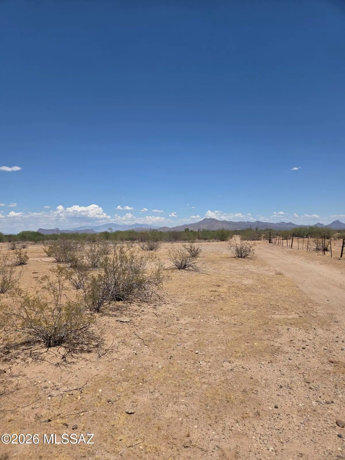 16501 W Ironwood National Monument, Marana, AZ 85653 - #1