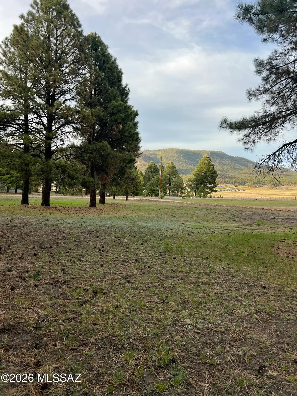 18 County Rd 2063, Alpine, AZ 85920 - #1