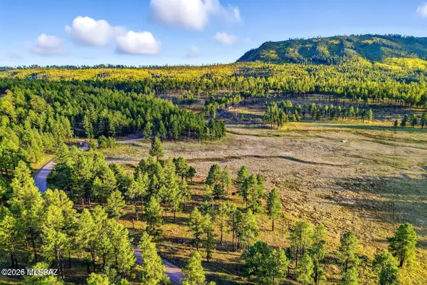 1A Forest Road, Alpine, AZ 85920