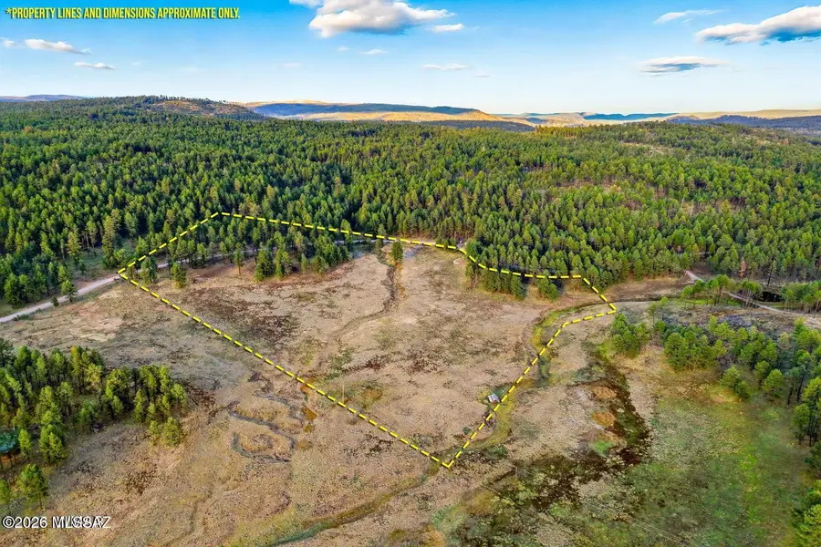 1A Forest Road, Alpine, AZ 85920 - #2