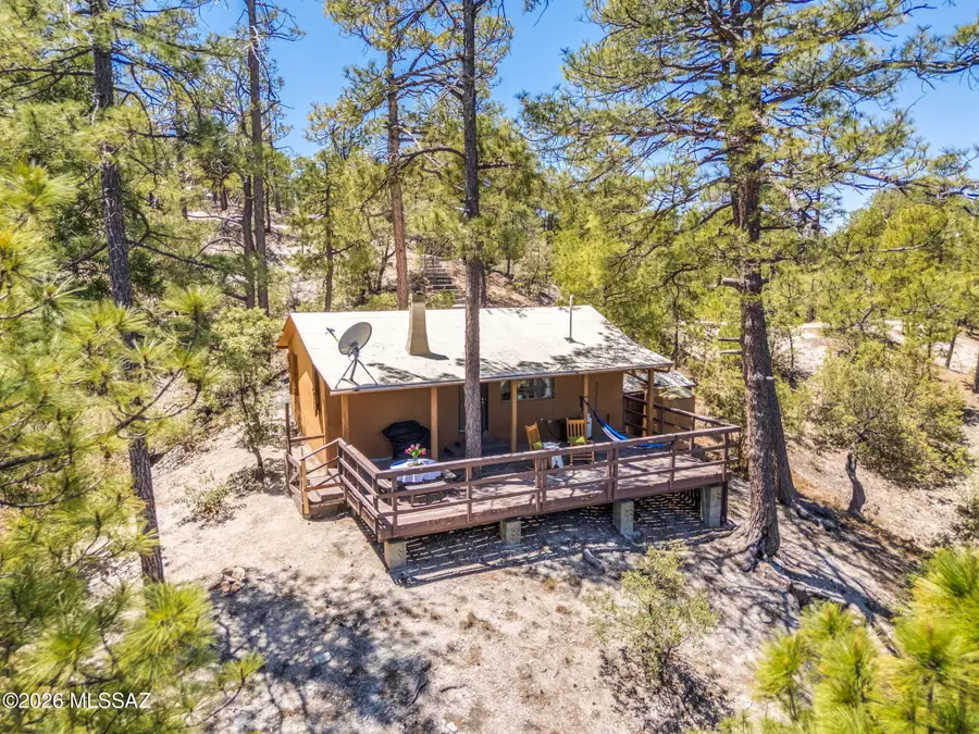 9713 S Willow Canyon, Mount Lemmon, AZ 85619 - #2