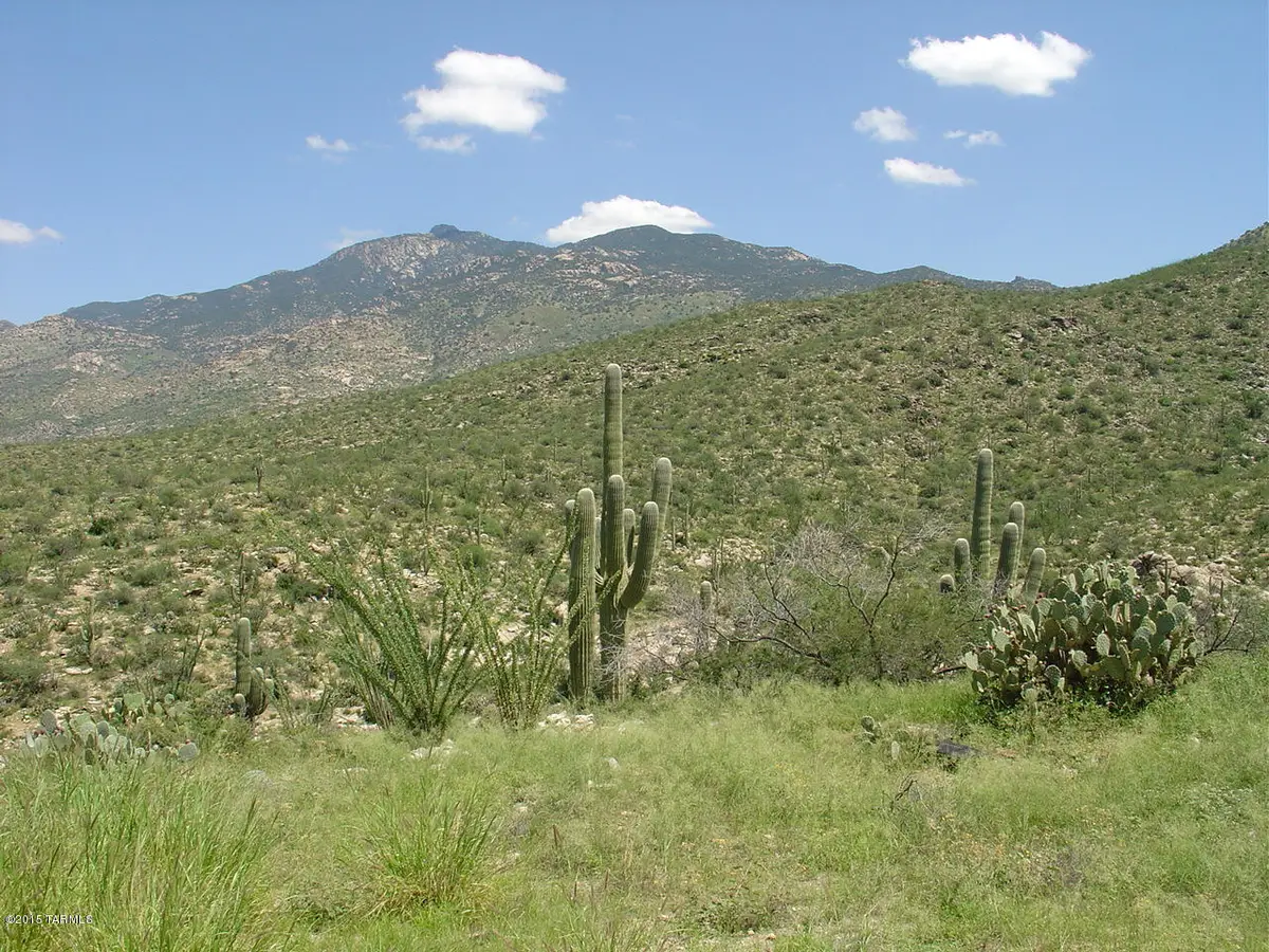 7301 S Red Hill, Vail, AZ 85641 - #1