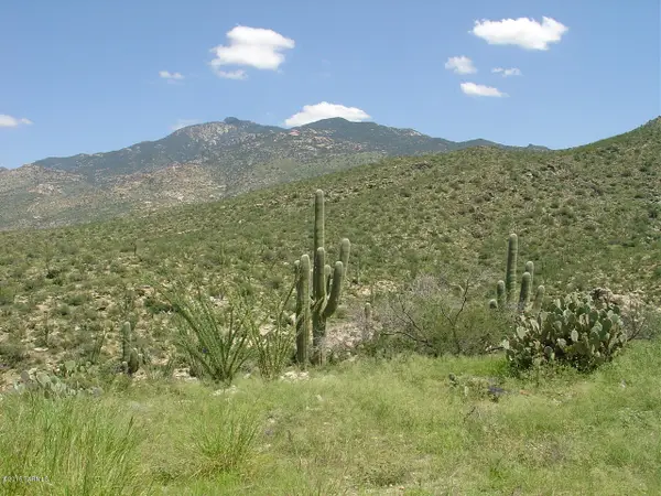 7301 S Red Hill, Vail, AZ 85641