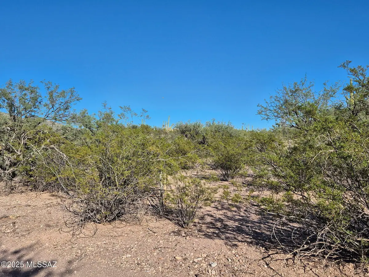 2016 N Wentworth, Tucson, AZ 85749 - #1